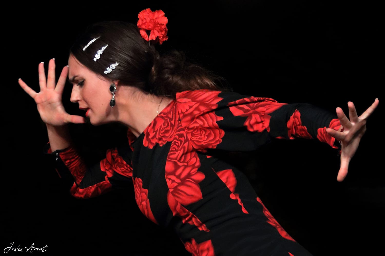 Flamenco